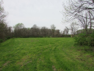 Southern Indiana Land for Sale - Daviess County | Auction - image 19