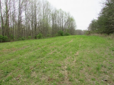 Southern Indiana Land for Sale - Daviess County | Auction - image 14