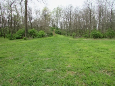 Southern Indiana Land for Sale - Daviess County | Auction - image 5