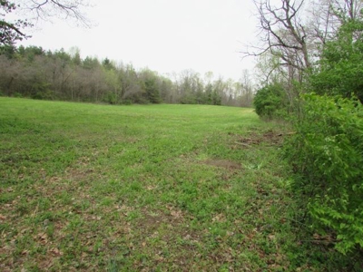 Southern Indiana Land for Sale - Daviess County | Auction - image 12