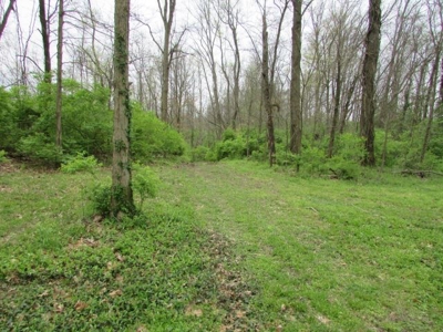 Southern Indiana Land for Sale - Daviess County | Auction - image 9