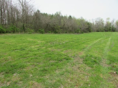 Southern Indiana Land for Sale - Daviess County | Auction - image 4