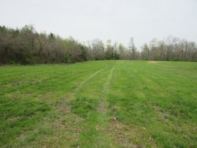 Southern Indiana Land for Sale - Daviess County | Auction - image 3