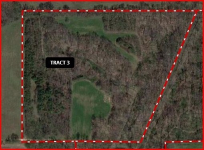 Southern Indiana Land for Sale - Daviess County | Auction - image 20