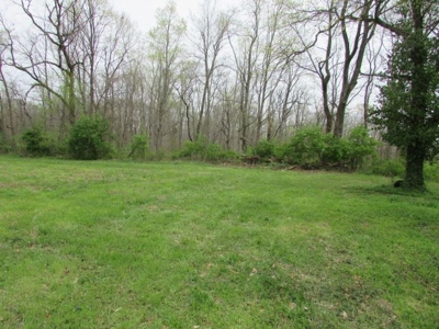Southern Indiana Land for Sale - Daviess County | Auction - image 1