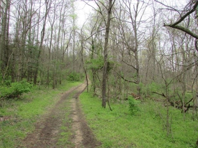 Southern Indiana Land for Sale - Daviess County | Auction - image 13