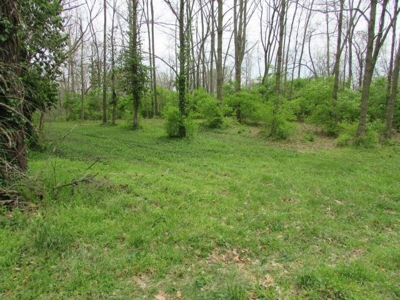 Southern Indiana Land for Sale - Daviess County | Auction - image 6