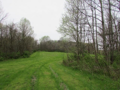 Southern Indiana Land for Sale - Daviess County | Auction - image 18