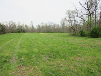 Southern Indiana Land for Sale - Daviess County | Auction - image 2