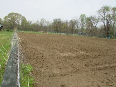 Southern Indiana Land for Sale - Pasture | Auction - image 5