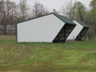 Southern Indiana Land for Sale - Pasture | Auction - image 8
