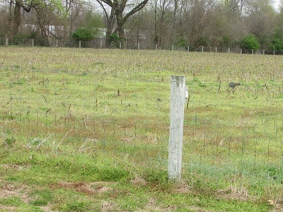 Southern Indiana Land for Sale - Pasture | Auction - image 4
