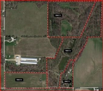 Southern Indiana Land for Sale - Pasture | Auction - image 12