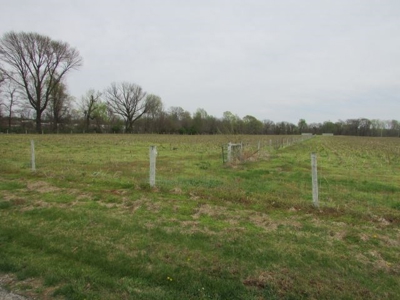 Southern Indiana Land for Sale - Pasture | Auction - image 1