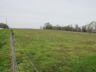 Southern Indiana Land for Sale - Pasture | Auction - image 7