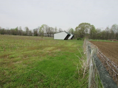 Southern Indiana Land for Sale - Pasture | Auction - image 6