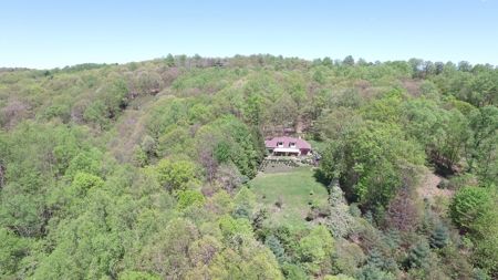 Elegant French Provincial Home in High Meadows Estates - image 4