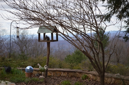 Elegant French Provincial Home in High Meadows Estates - image 37