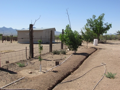 Homes for sale in Deming NM - image 3