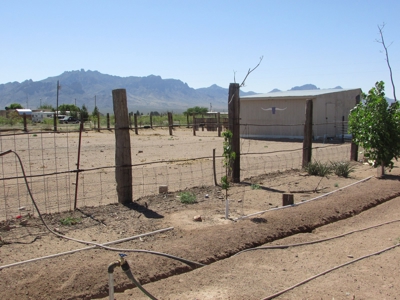 Homes for sale in Deming NM - image 2