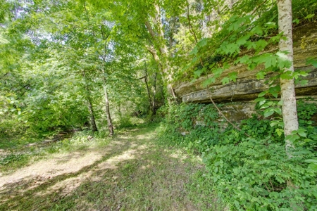 Tn Country Home W/Acreage For Sale Maury County Culleoka Tn - image 48
