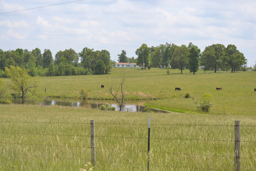 313 Acre Ranch for Sale - Home - HUNTING