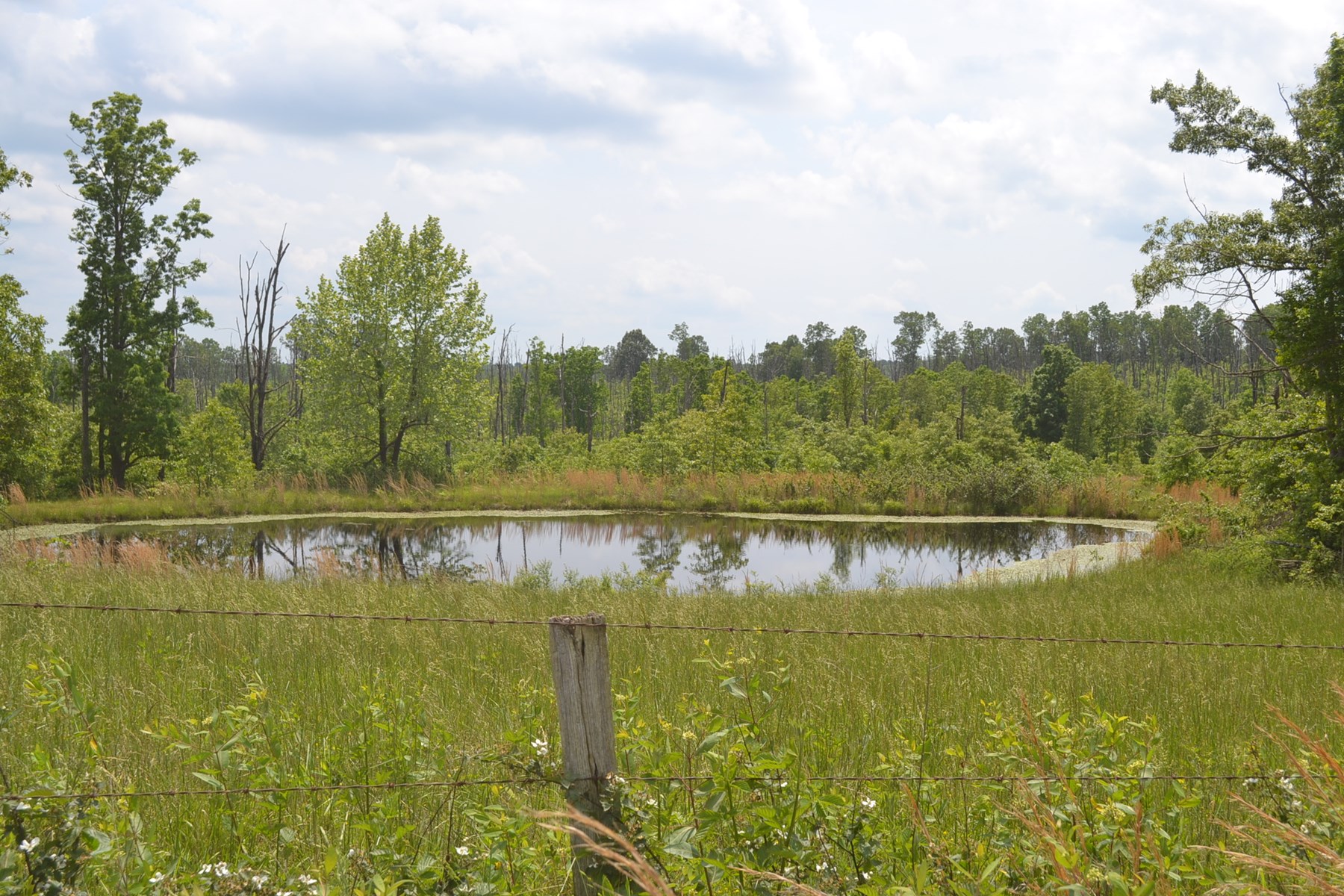 313 Acre Ranch for Sale - Home - HUNTING