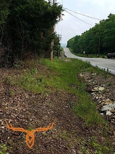 Jefferson County Land iAuction - image 5