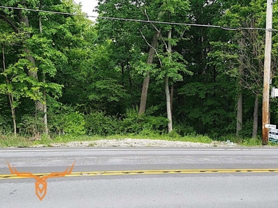 Jefferson County Land iAuction - image 4