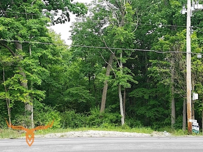 Jefferson County Land iAuction - image 1