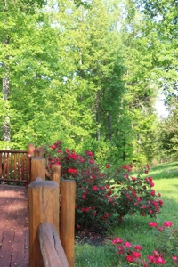 Stunning Log Home in Central KY on 50 Acres - image 24