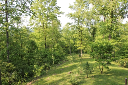 Stunning Log Home in Central KY on 50 Acres - image 1
