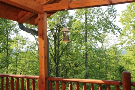 Stunning Log Home in Central KY on 50 Acres - image 19