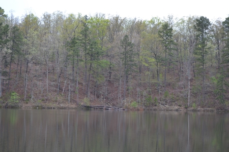 2200 Acres - Private Lake - Hunting - Fishing - image 10