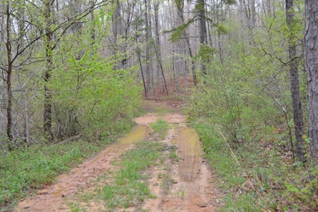 2200 Acres - Private Lake - Hunting - Fishing - image 7