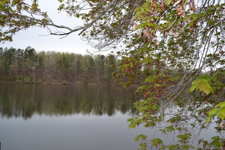 2200 Acres - Private Lake - Hunting - Fishing - image 2