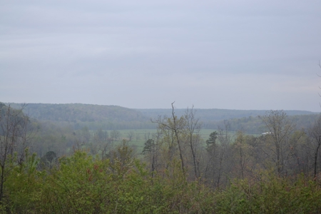 2200 Acres - Private Lake - Hunting - Fishing - image 14