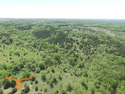 Putnam County Land iAuction - image 12