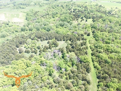 Putnam County Land iAuction - image 25