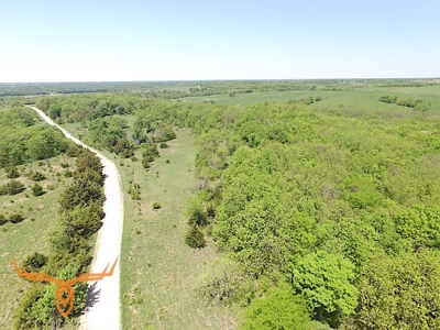 Putnam County Land iAuction - image 7