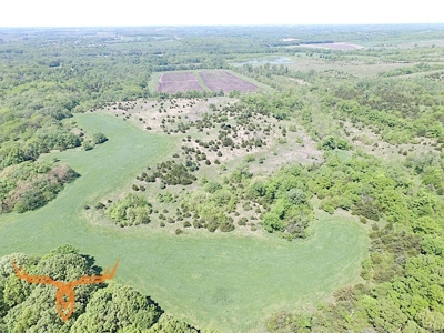 Putnam County Land iAuction - image 23