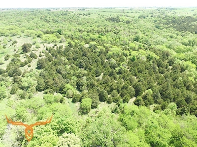 Putnam County Land iAuction - image 20