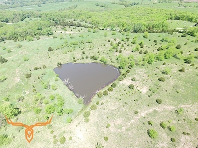 Putnam County Land iAuction - image 17