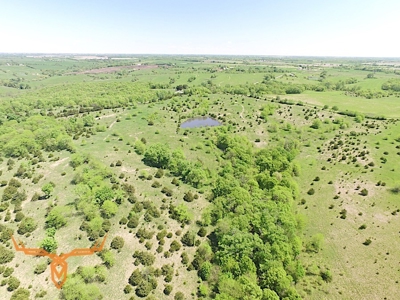 Putnam County Land iAuction - image 14