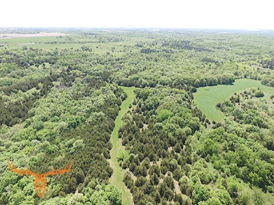 Putnam County Land iAuction - image 29