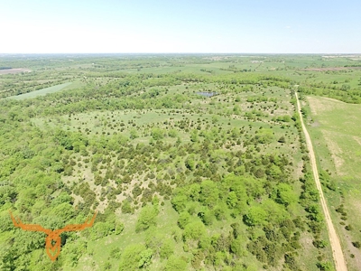 Putnam County Land iAuction - image 15