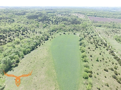 Putnam County Land iAuction - image 11