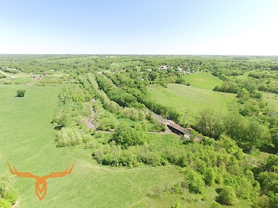 Putnam County Land iAuction - image 6