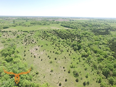 Putnam County Land iAuction - image 13