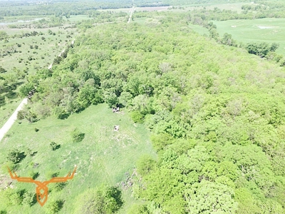 Putnam County Land iAuction - image 9